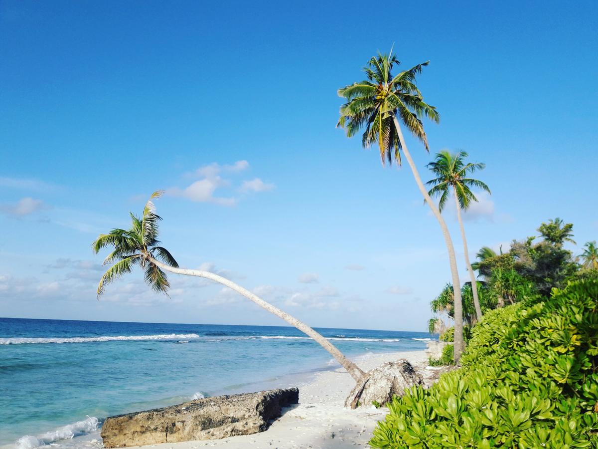 Charming Holiday Lodge- Addu Atoll Meedhoo, Maldives Zewnętrze zdjęcie